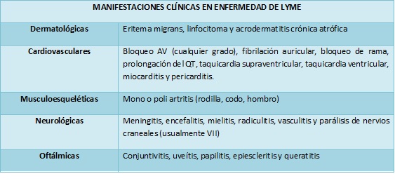 Departamento De Medicina Del Dolor Y Paliativa Incmnsz 1124